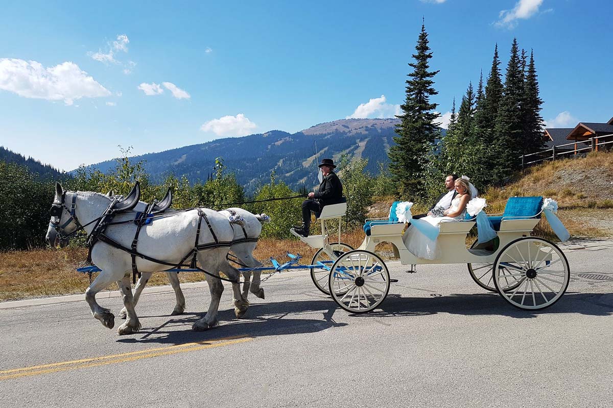 image of newlyweds in a two horse carriage