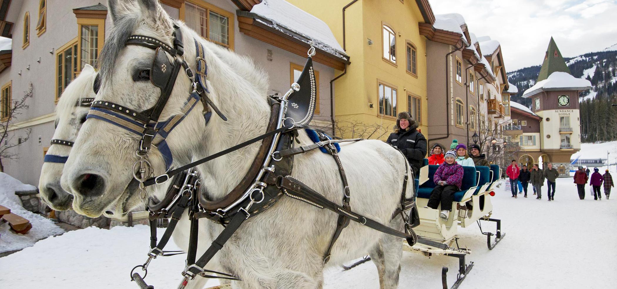 image of two horse sleigh in snow carrying people